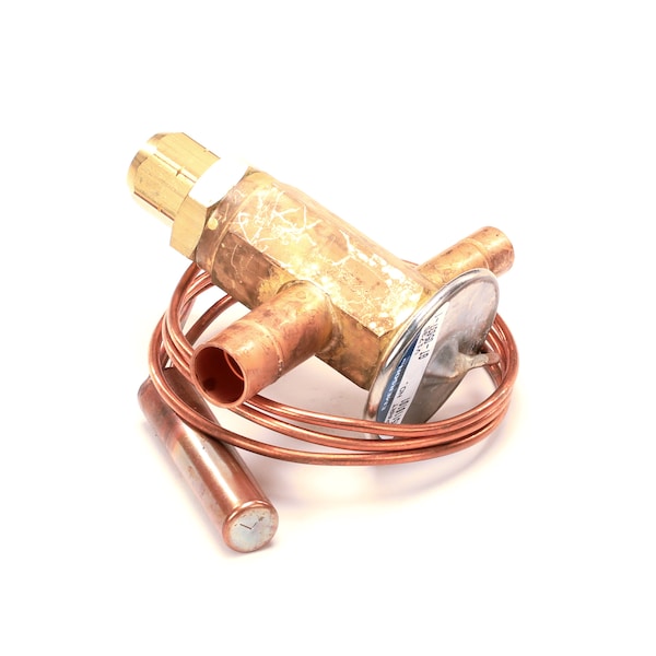 Valve Thermo Exp